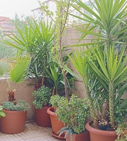 Apartamento Principe Caces Exteriér fotografie