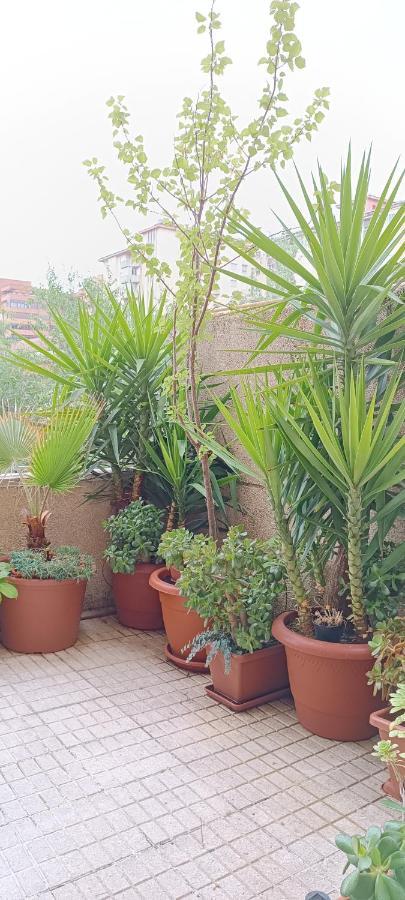 Apartamento Principe Caces Exteriér fotografie