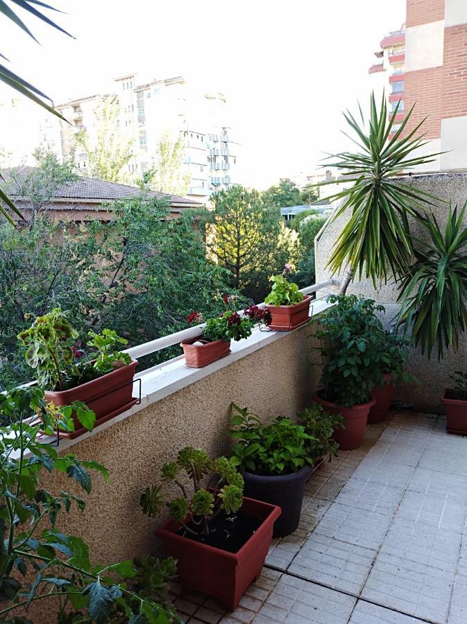 Apartamento Principe Caces Exteriér fotografie