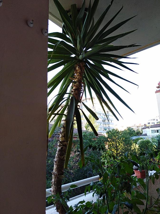 Apartamento Principe Caces Exteriér fotografie